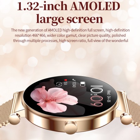 Smart Princess Steel Gold, 2 ремінці