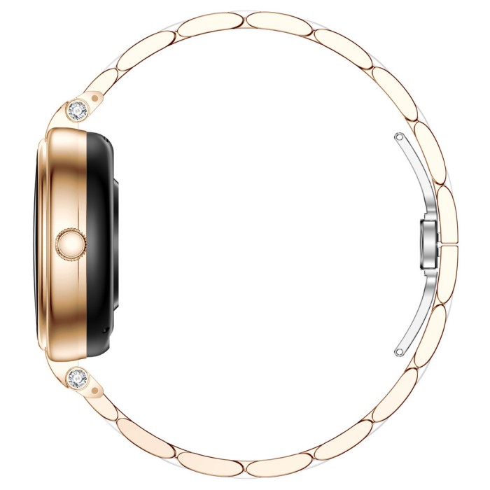 Smart Leila Steel, 2 ремінці