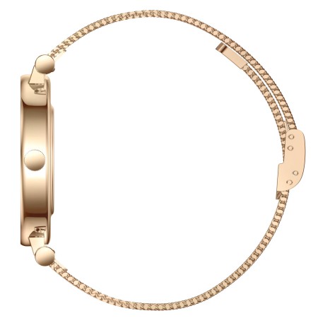 Smart Princess Steel Gold, 2 ремінці